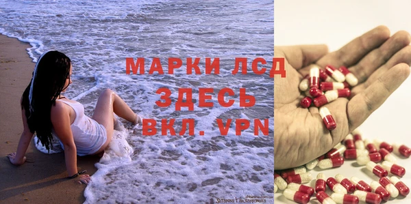сатива Липки