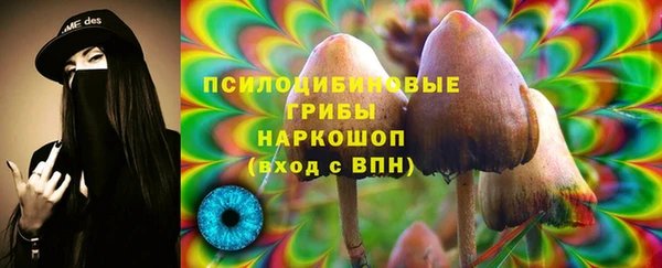 сатива Липки