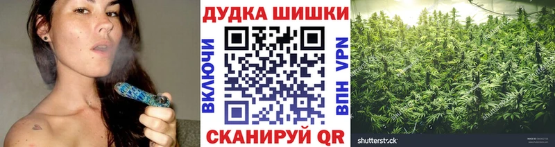Бошки Шишки планчик  Энем 